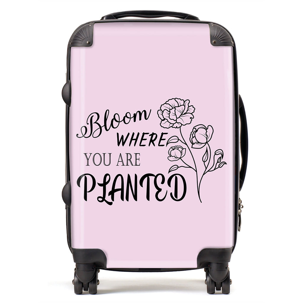 Bloom Where You Are Planted