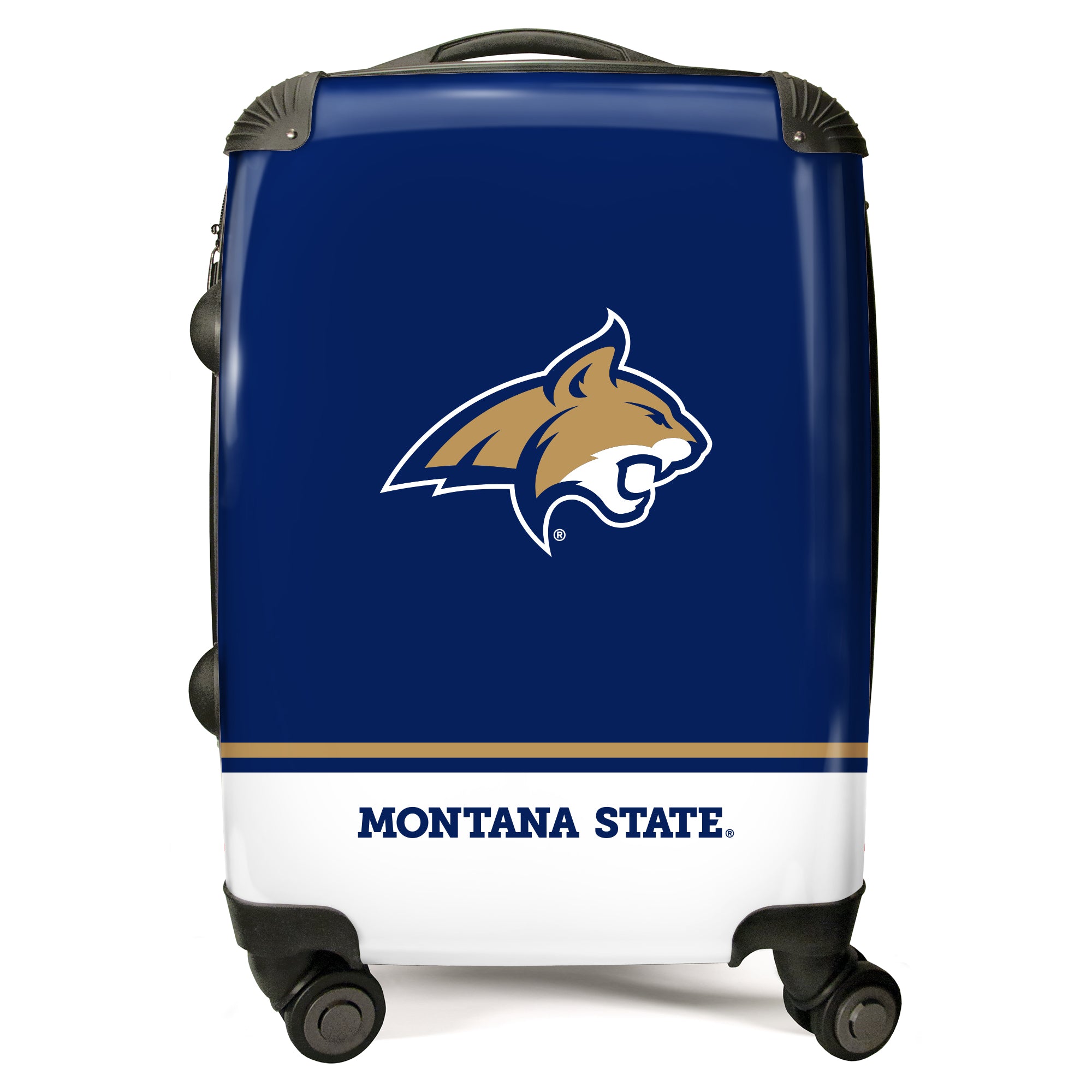Montana State University
